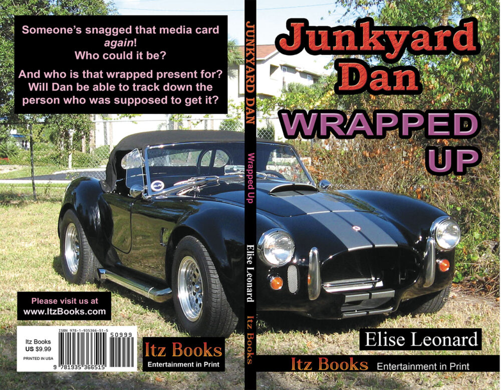 Junkyard-Dan-Book-10-WRAPPED-UP
